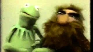 Classic Sesame Street - Kermit on Hair (AKA: Frogs Don&#39;t Have Hair)