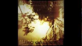 Jaq Gallier - All flowers in time bend towards the sun