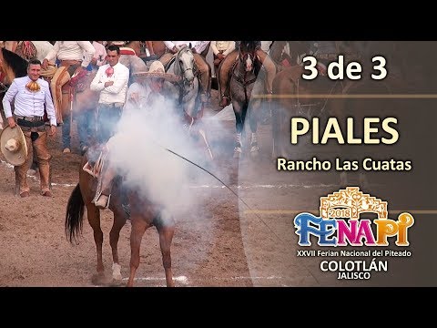 Piales 3 of 3 - Jose Andres Aceves El Chiringas - Colotlán Tournament, JAL 2018