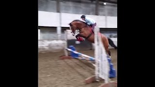 Scarlett puts in big jump over tiny fence