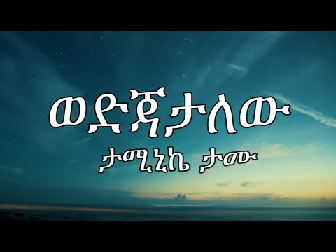 Taminike Tamu - Wedjatalehu -ወድጃታለሁ -በግጥ - New Ethiopian Music (Lyrics)