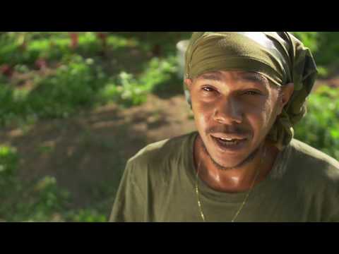 KaliHi - Putting In That Work (Official Video)