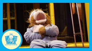 Adventures with Artie: Commitment