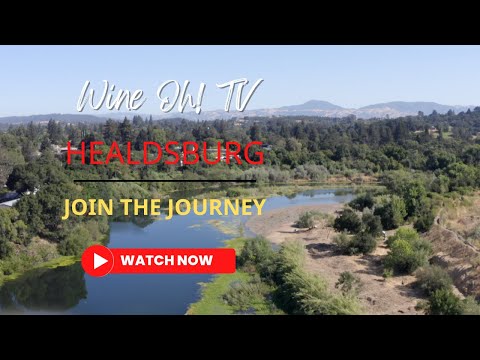 Discover Healdsburg’s Best-Kept Secrets: The Ultimate Sonoma County Wine Experience