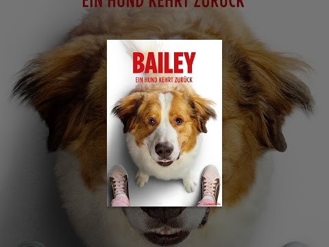 Bailey - Ein Hund kehrt zurück