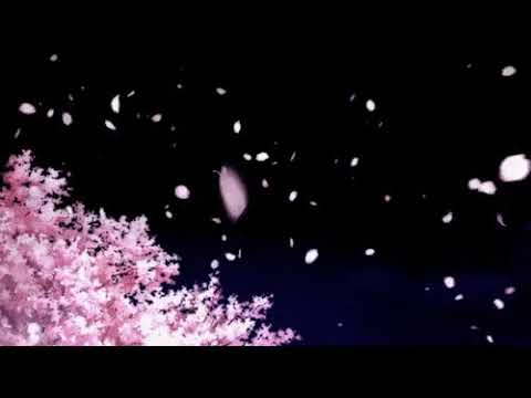 BeatKing, Ludacris, Queendom Come - Keep It Poppin (slowed + reverb) HGM