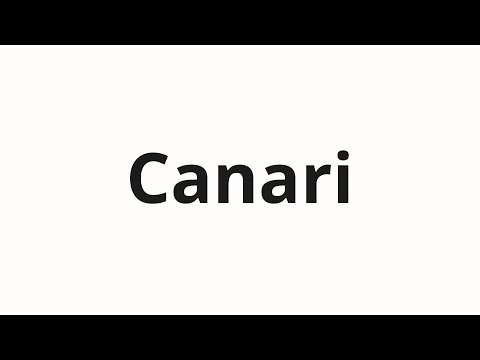 How to pronounce Canari