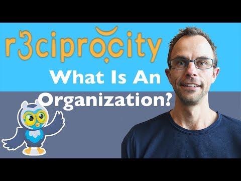 What Is The Organizational Structure Of A Company? Organizational Design & Organizational Theory