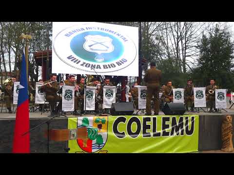 Banda Instrumental VIII Zona de Carabineros Bio Bio Mix de Los Ramblers