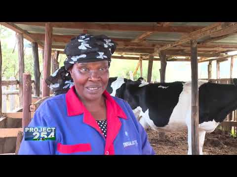 PROJECT 254, Episode 60 - MODERNIZATION OF NEW KCC FACTORIES ACROSS THE COUNTRY