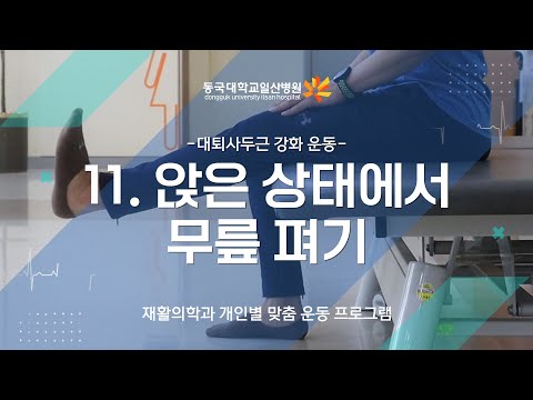11. 대퇴사두근 강화 
