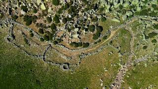 Senda de la Garganta Navamediana (Parque Regional Sierra de Gredos- PR-AV 38 - Ávila)