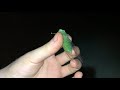 green cicada scream