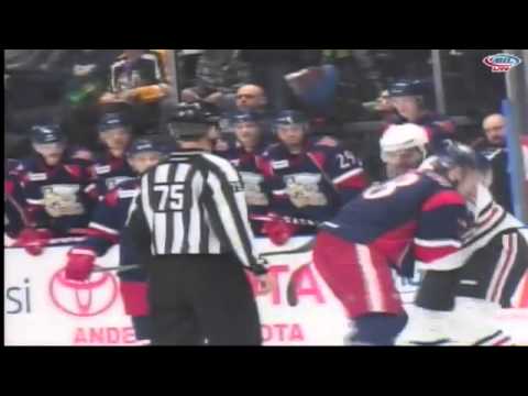 Anthony Mantha vs Stephen Johns