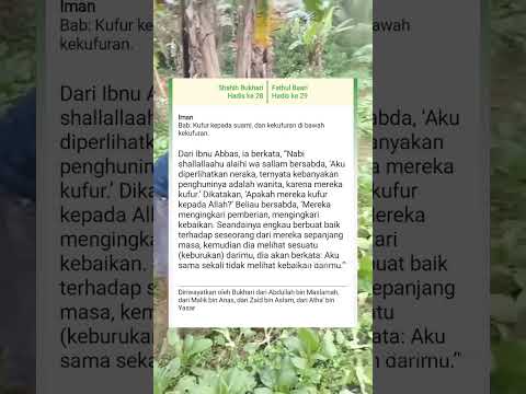 YouTube video