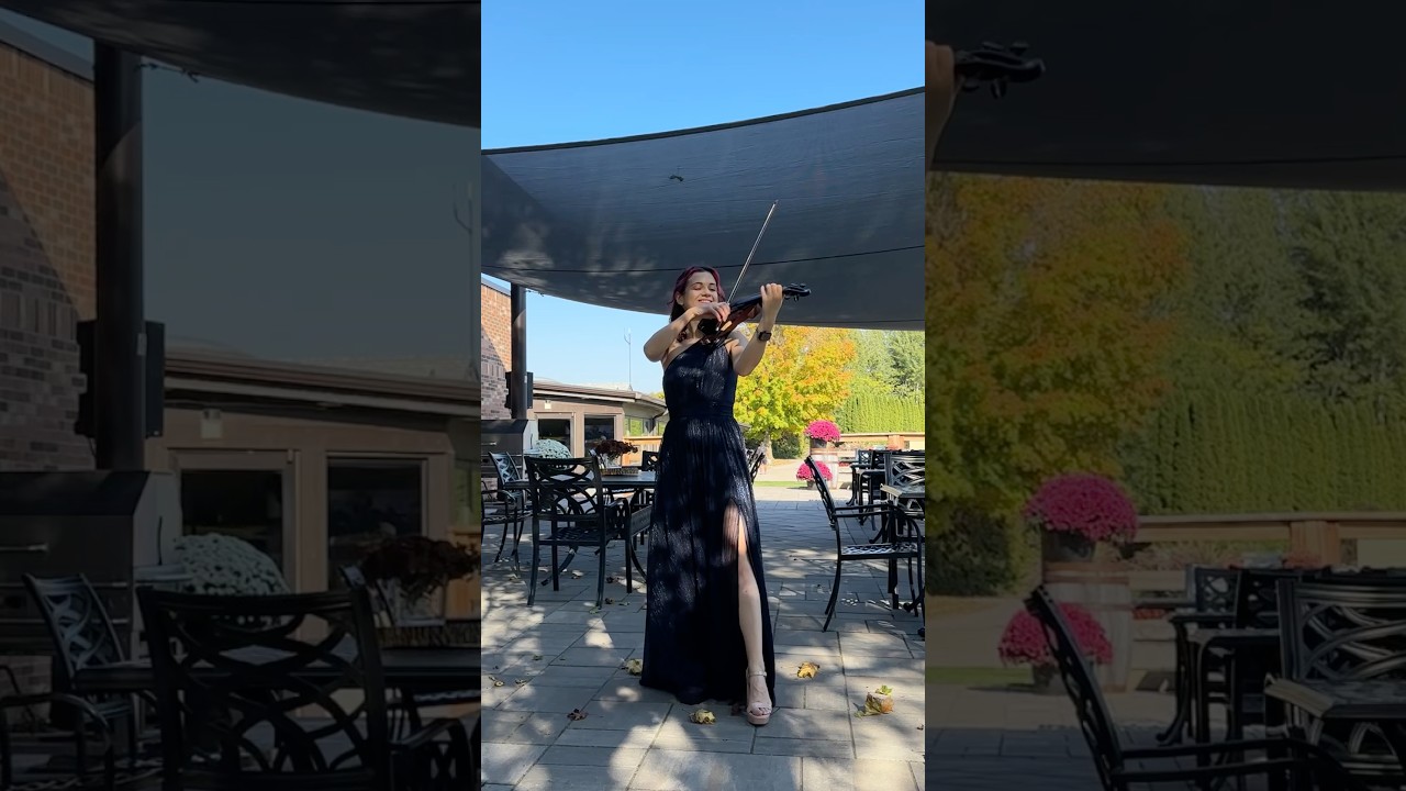 Promotional video thumbnail 11 for Wonder Violin