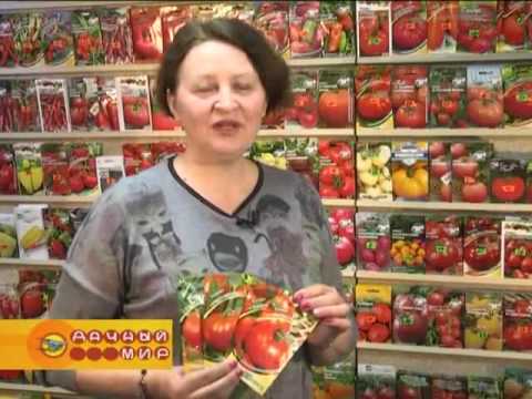 Магазин Семена В Самаре Тц Гагаринский