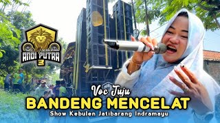 Download lagu BANDENG MENCELAT • VOC JUJU • ANDI PUTRA 3 • Show Kebulen Jatibarang Indramayu  mp3
