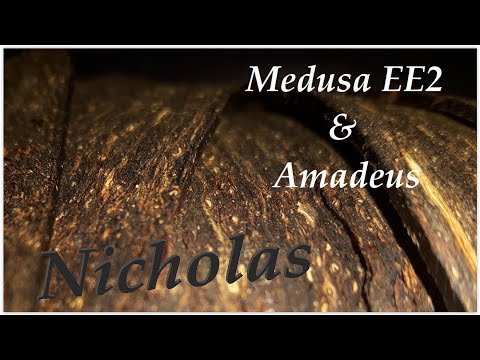 Medusa EE2 & Amadeus Pipe