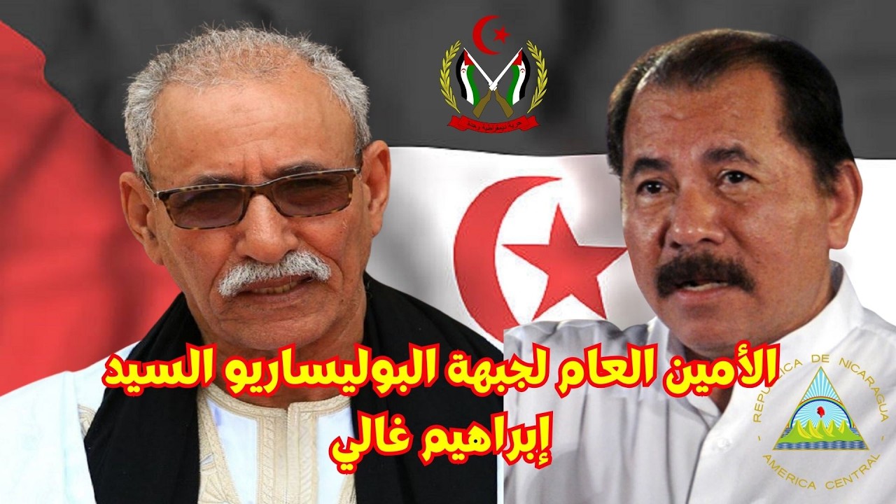 🔴النشرة الرئيسية التلفزيون الوطني الصحراوي RASD TV #الصحراء الغربية #جبهة البو