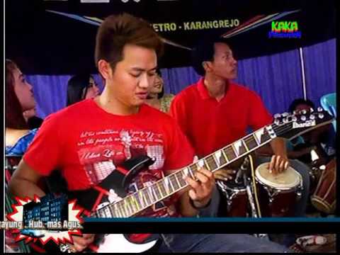 'Robin' Kembar - Sejengkal tanah