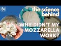 The Science Behind Why Didn T My Mozzarella Work Food Science Videos