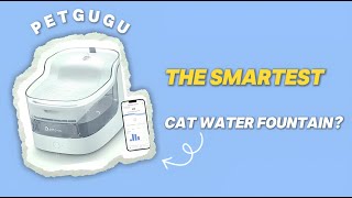 I Tried the Smartest Cat Water Fountain | Petgugu Water Fountain Review