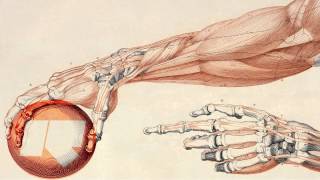 Youngsta - Rinse FM podcast (13.08.2012)