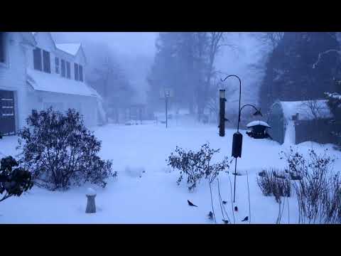 Boston Blizzard of 2022 in 30 Seconds Time-lapse
