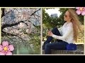 VLOG Tokyo* ВЕСНА 