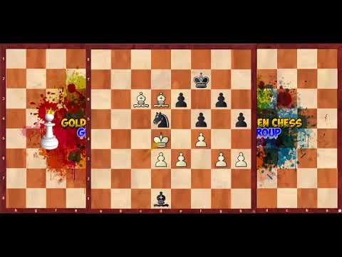 Bassem Amin hitmen Bishops vs Girya Olga