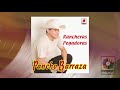 Pancho Barraza - Debajo de los Laureles (Official Visualizer)