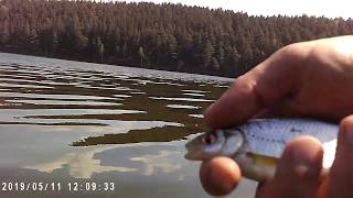 Отчеты о рыбалке в верхней сысерти