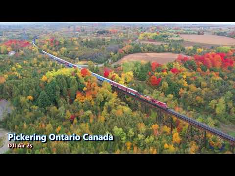 What makes Railfanning (trainspoting) fun and interesting, check this out to see why