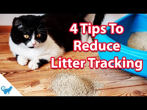 How to stop cat litter tracking? | Cat Behavior  101