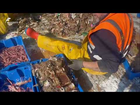 Nel mare c'è più plastica che pesci!