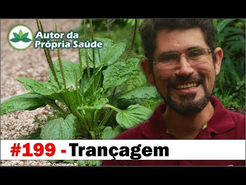 Autor da Própria Saúde - Trançagem [antibiótico, antiinflamatório, hipertensão, diabetes, câncer]