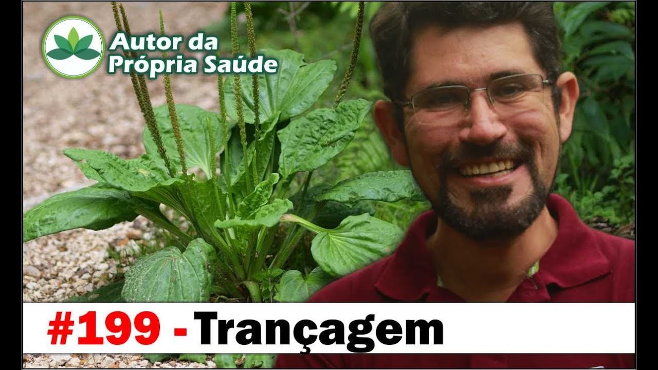 Autor da Própria Saúde - Trançagem [antibiótico, antiinflamatório, hipertensão, diabetes, câncer]