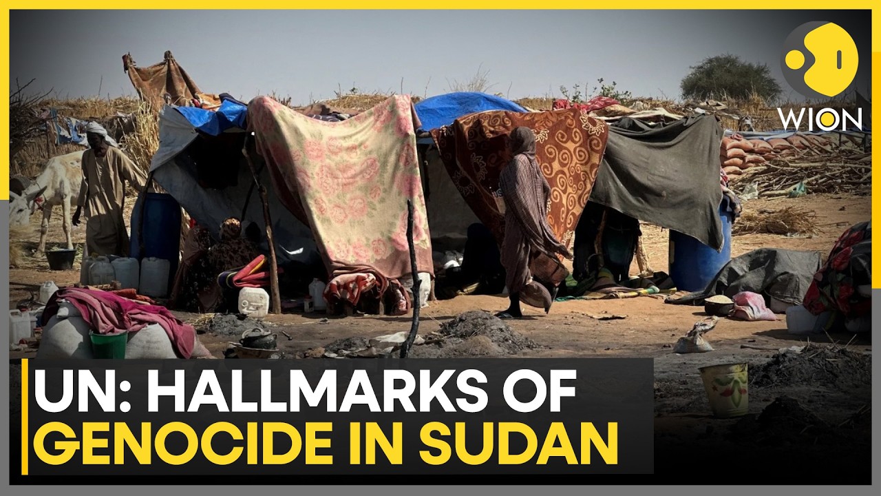Sudan UN Probe: RSF Committed Genocide in Sudan, “Three Days of Absolute Horror” | WION