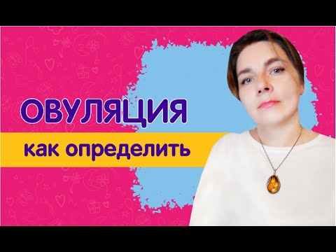 Овуляция: что важно знать