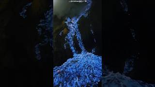 Download lagu Blue Fire Volcano Indonesia 🌋 mp3