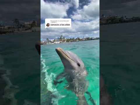 ¡En exclusiva! Los aliens existen 👽