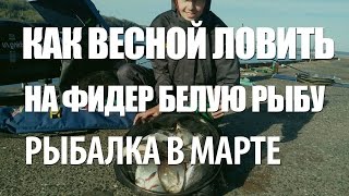 На какую снасть ловить леща в марте