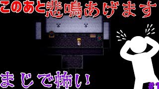 「真のビビり」が夜に部屋の電気消してビビり倒す【魔女の家実況】