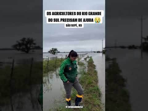 Agricultora de São Sepé relata a agonia da enchente 🥺🙏 #roça #colonos #agro #enchente