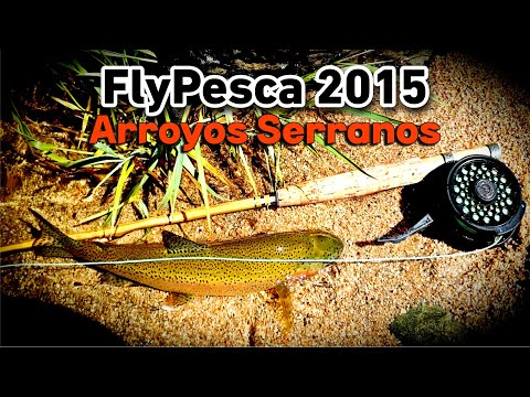 FlyPesca arroyos serranos 