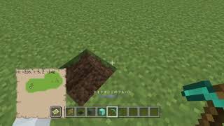 マイクラ　見えない扉?