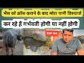 भैंस क्रॉस के बाद मोटा पानी जैसा डिस्च