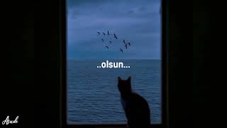 Bikinisinde Astronomi - Son Feci Bisiklet