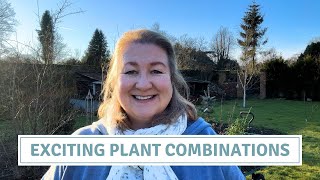Planting Colourful Perennials In The Top Border // Cottoverdi